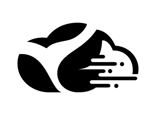NaikoCloud Logo